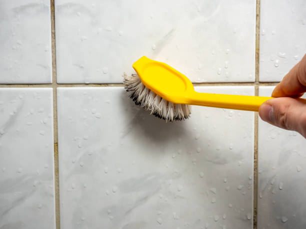 Best Black Mold Removal  in Aberdeen, MS