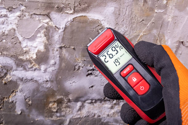 Trusted Aberdeen, MS Mold Removal Experts