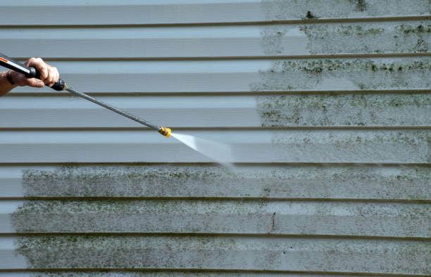 Certified Mold Removal in Aberdeen, MS