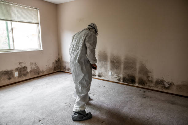 Best Commercial Mold Removal  in Aberdeen, MS