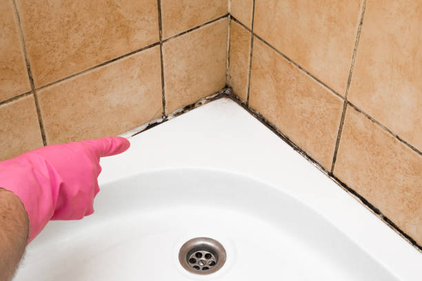 Best Mold Testing  in Aberdeen, MS